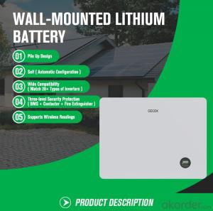 Stocked In Africa Wall Mounted 51.2v 100ah Lifepo4 Battery Powerwall