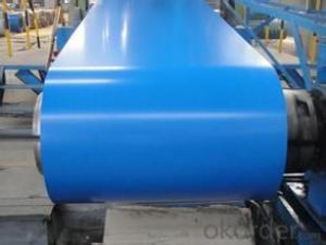 Prepainted Galvanized Rolled Steel Coil-DX51D