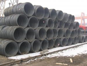 Prime Hot Rolled Steel Wire Rod in Coils
