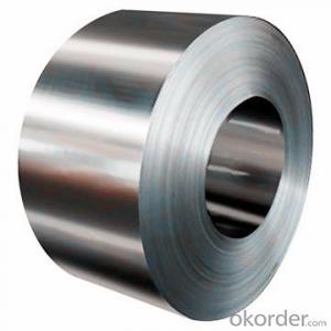 Stainless Steel Coil 304/316 Hot / Cold Rolled  Grade NO.1