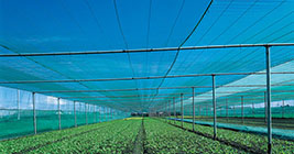 Construction Agriculture Products